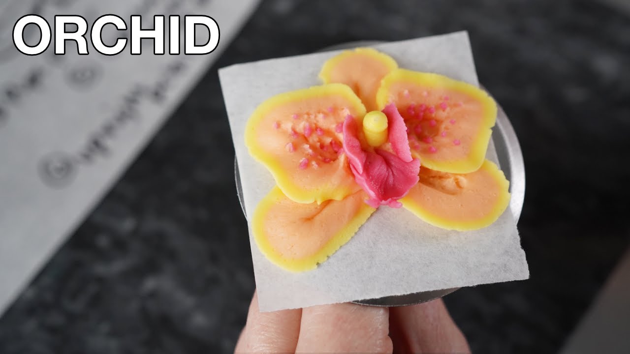 How to pipe buttercream orchid  [ Cake Decorating For Beginners ]