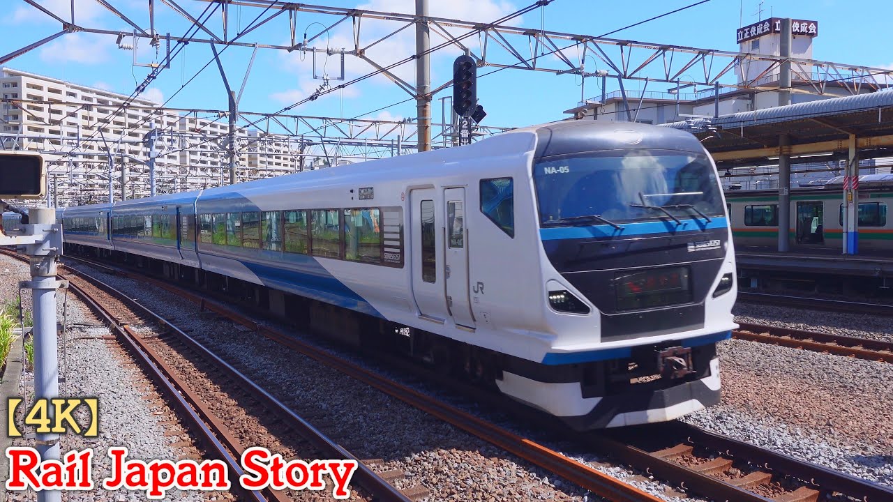 E257 series SHONAN & ODORIKO Limited Express at Ofuna Station | Train Japan