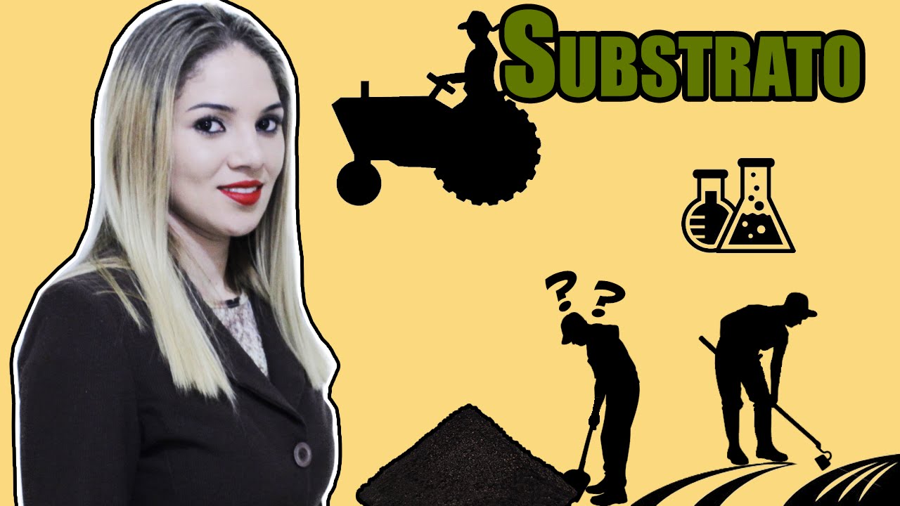 Oque &eacute; Substrato e Como us&aacute;-lo corretamente