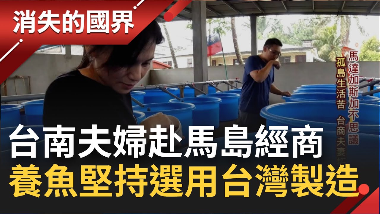 高規格保護熱帶魚! 台南夫妻赴馬達加斯加經商出口熱帶魚 克服艱難環境條件 養魚配備堅持選用