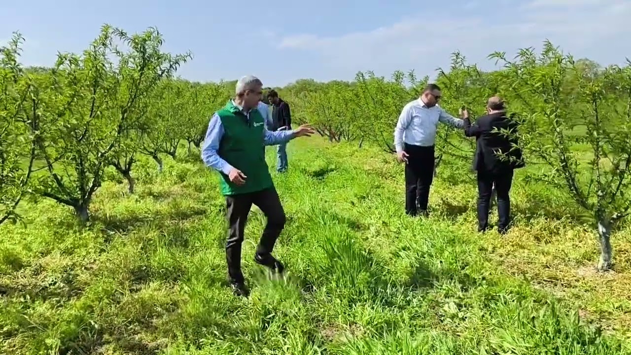 Aqrar sığorta ekspertləri şaxtavurma hadisəsinə məruz qalan əraziyə baxış keçirdir.
