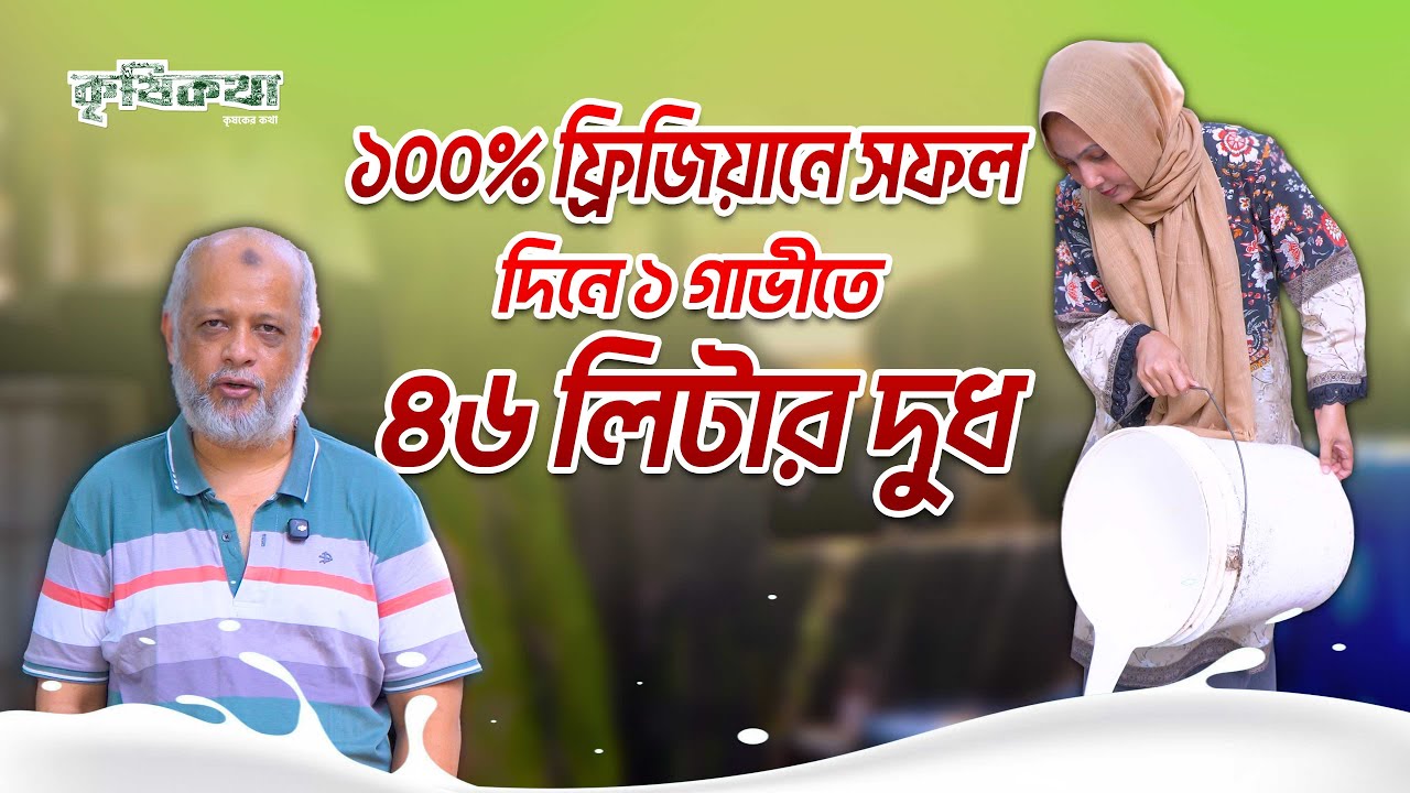 ১০০% বীজে জাত উন্নয়ন । এক লেকটেশনে ১ গাভীতে ১০ হাজার লিটার। শাহাজাদী ডেইরি, সাভার