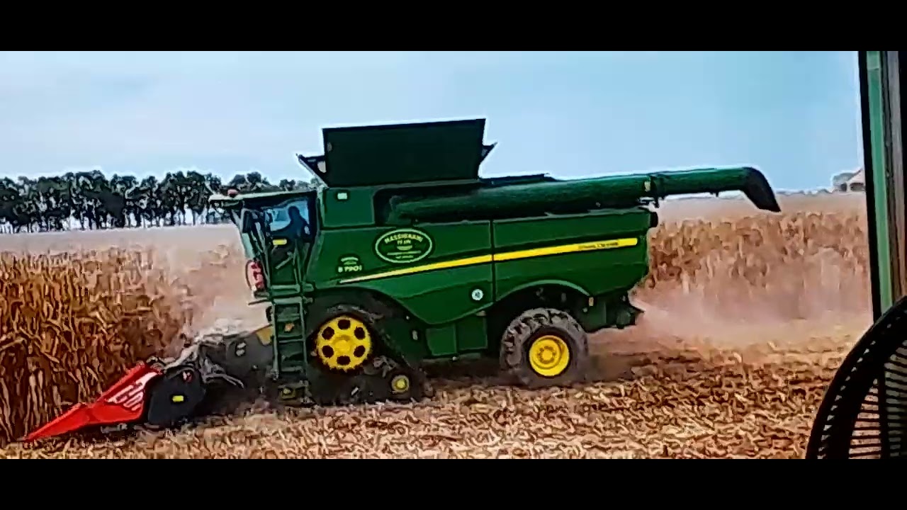 15 de fevereiro de 2026