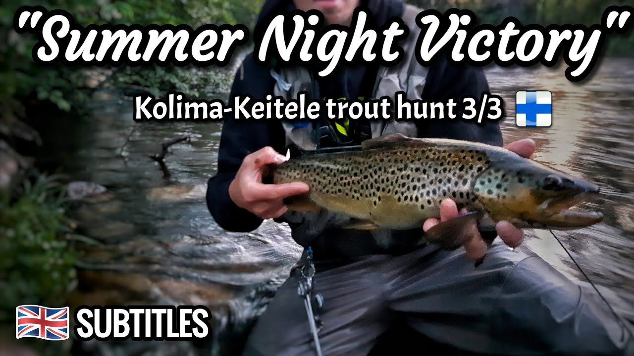 Sahakosken Pilkkukyljet | Fly Fishing For Brown Trout