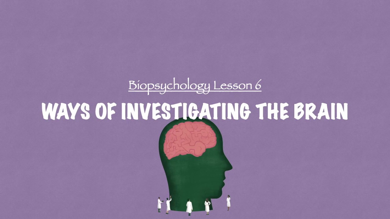 A-Level Psychology (AQA): Biopsychology - Ways of Investigating the Brain