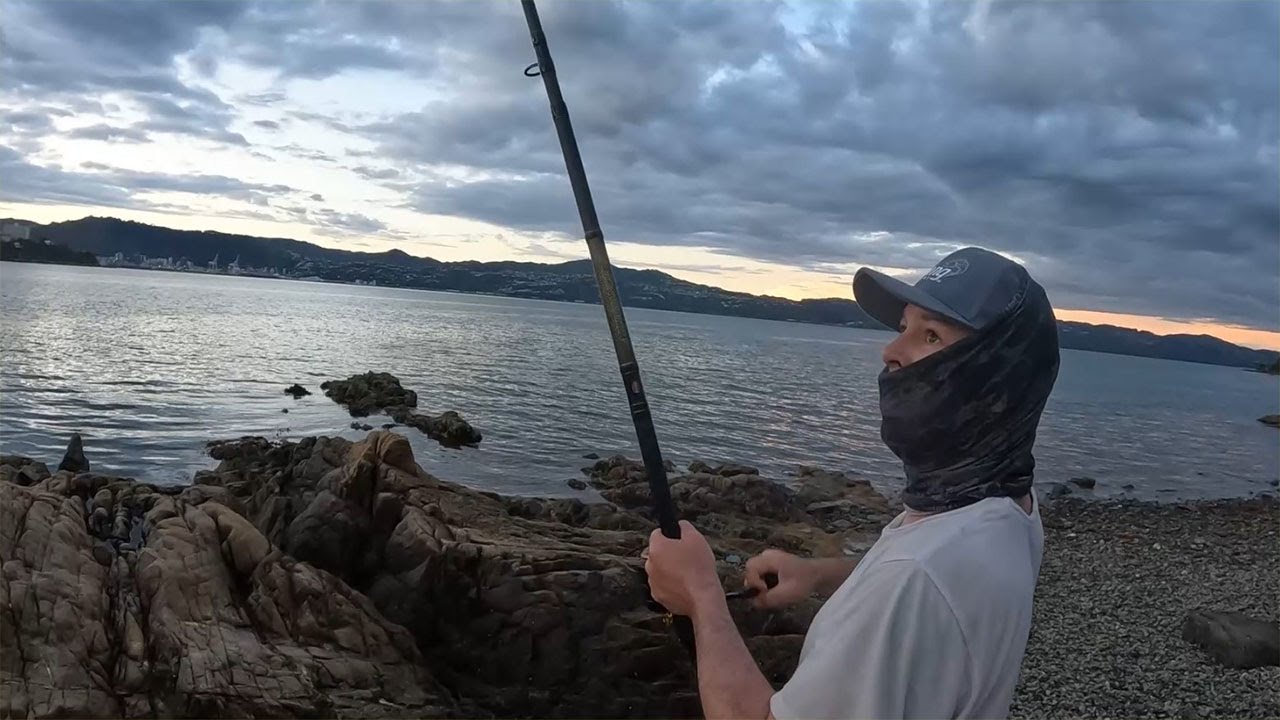 Wellington Harbor Fishing | My Best Landbased Fishing Session Yet!