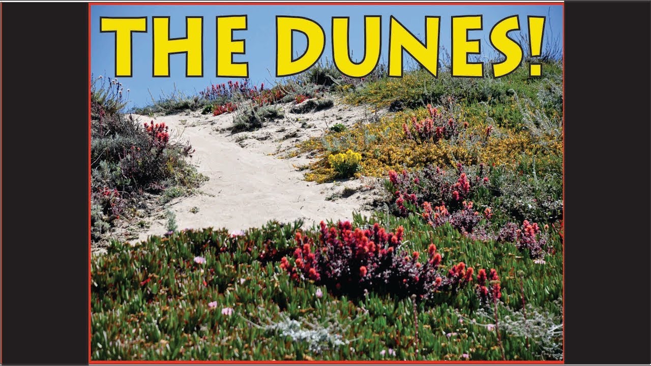 Marina Dunes RV Park,Marina CA, Best RV Places in Monterey, CA