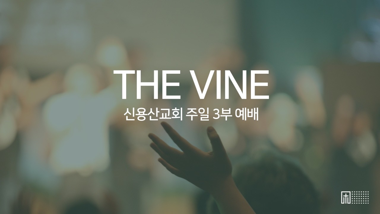 신용산교회 THE VINE 워십 | 나의 피난처 예수, 하늘위에 주님 밖에, 전능하신 나의 주 하나님은 | 2026.02.22