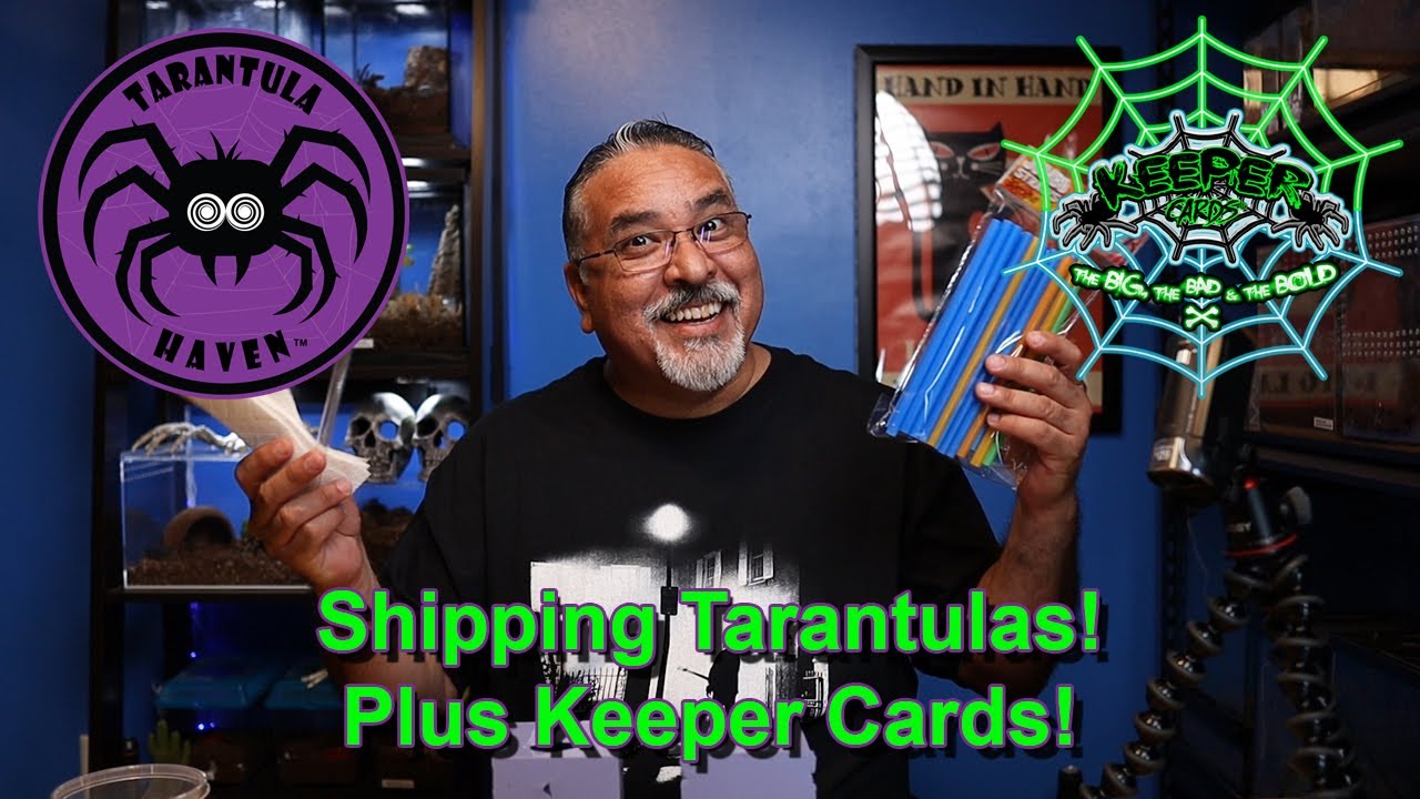 Shipping Tarantulas, Plus Keeper Cards!