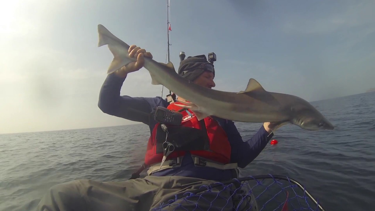 Solva & Stackpole Kayak Fishing Days 2 and 3