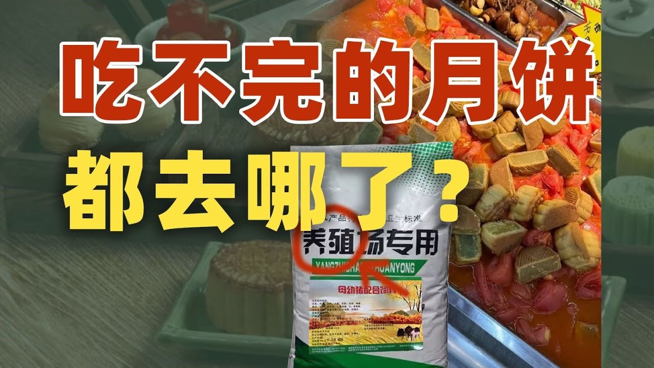 中秋节卖剩下的月饼，都去了哪？来年重新包装再卖？｜动动枪DongDongGun