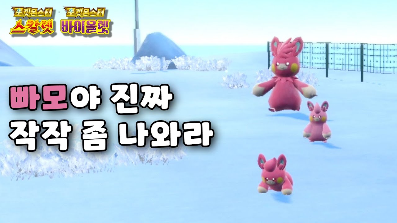 너네 말고 모래털가죽 나오라고!! l 포켓몬스터 스칼렛 바이올렛 이로치 헌팅