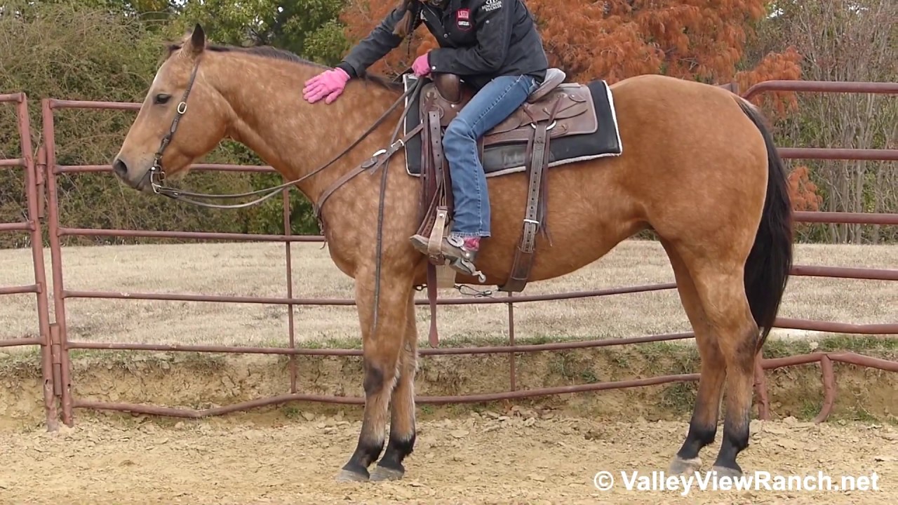 A Western Joy Ride - beautiful golden dappled BUCKSKIN neck rein riding!!! - ValleyViewRanch.net