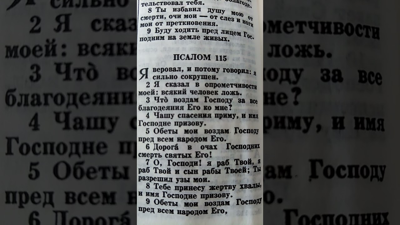 17 февраля 2026 г.