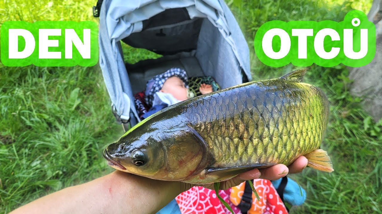 Šonův sopel s trávou na AMURY