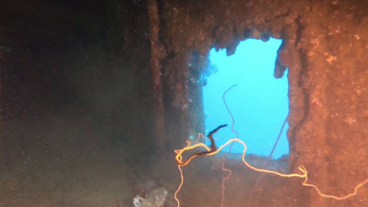 رحلة غوص حطام سفينة أيونا ( ينبع )AIONA Wreck