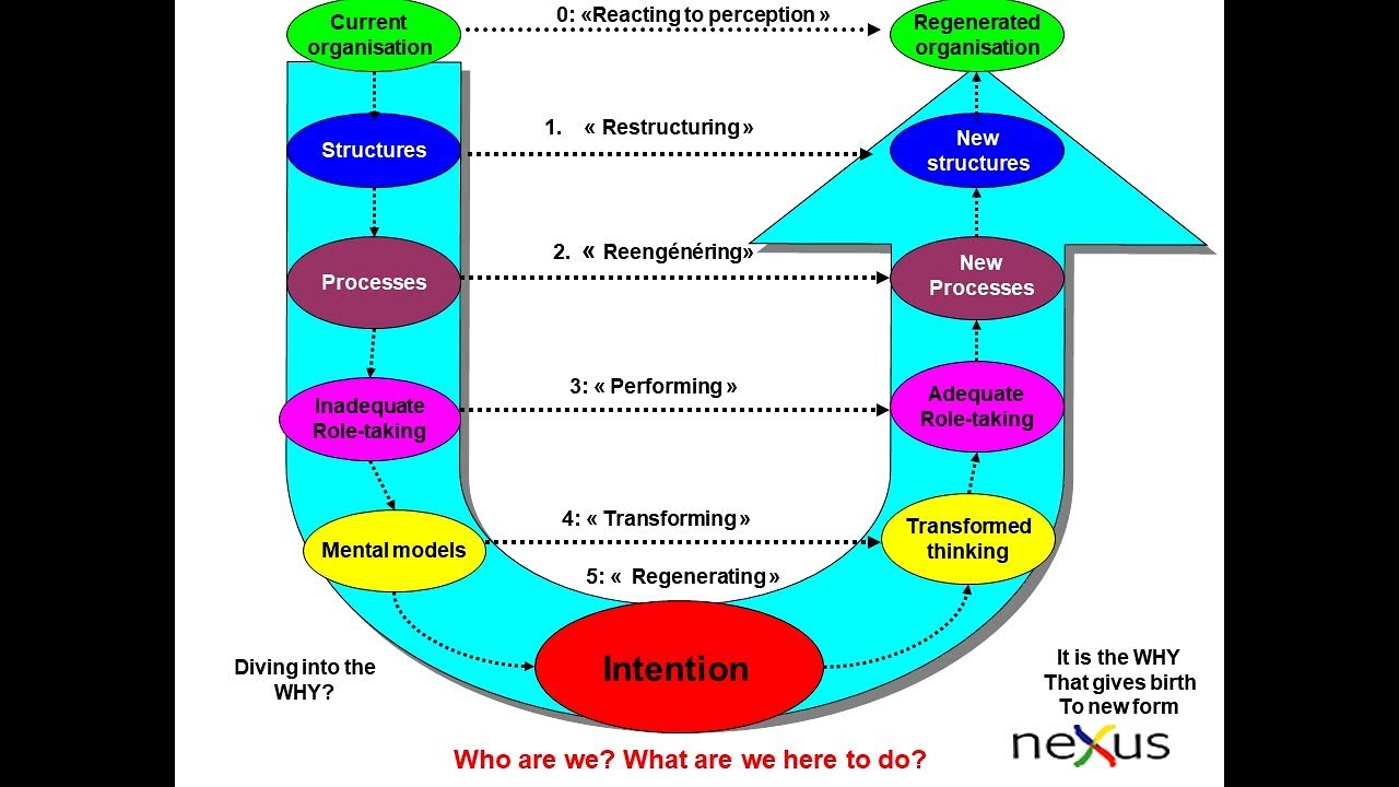 Theory U: levels of response for organisational change
