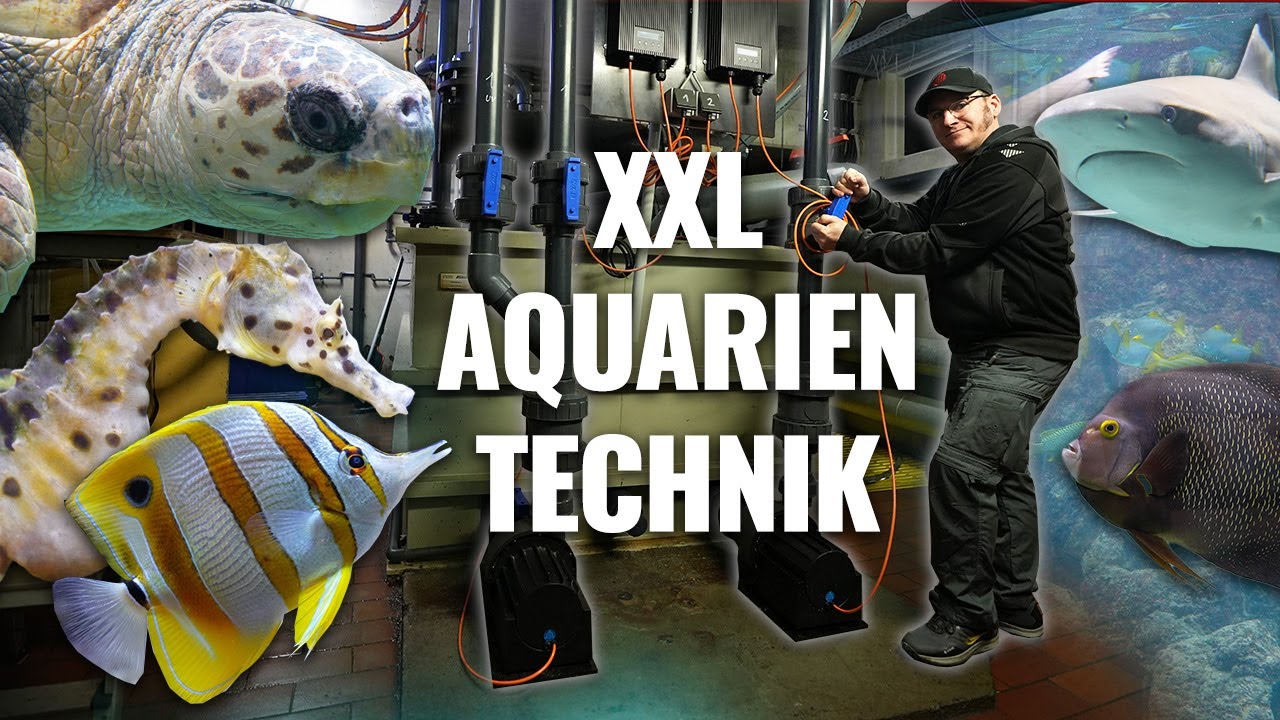 So viel TECHNIK für das AQUARIUM in Wilhelmshaven? - Alex on Tour