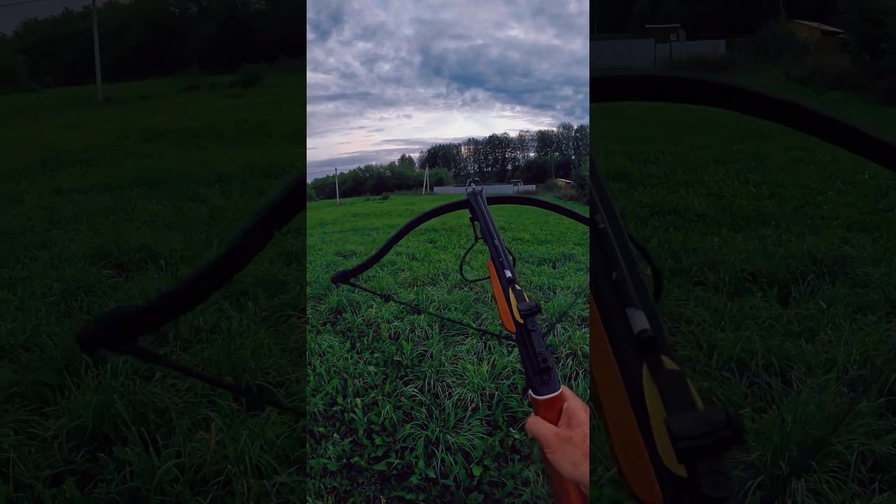 Crossbow #gun #shoot #crossbow #weapons #nature #sports #shorts #remington #brp #summer