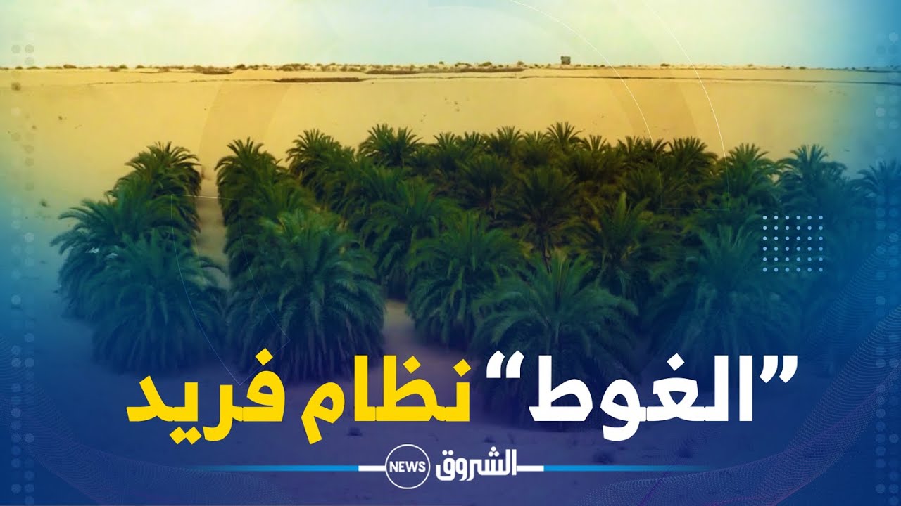 روبورتاج | 