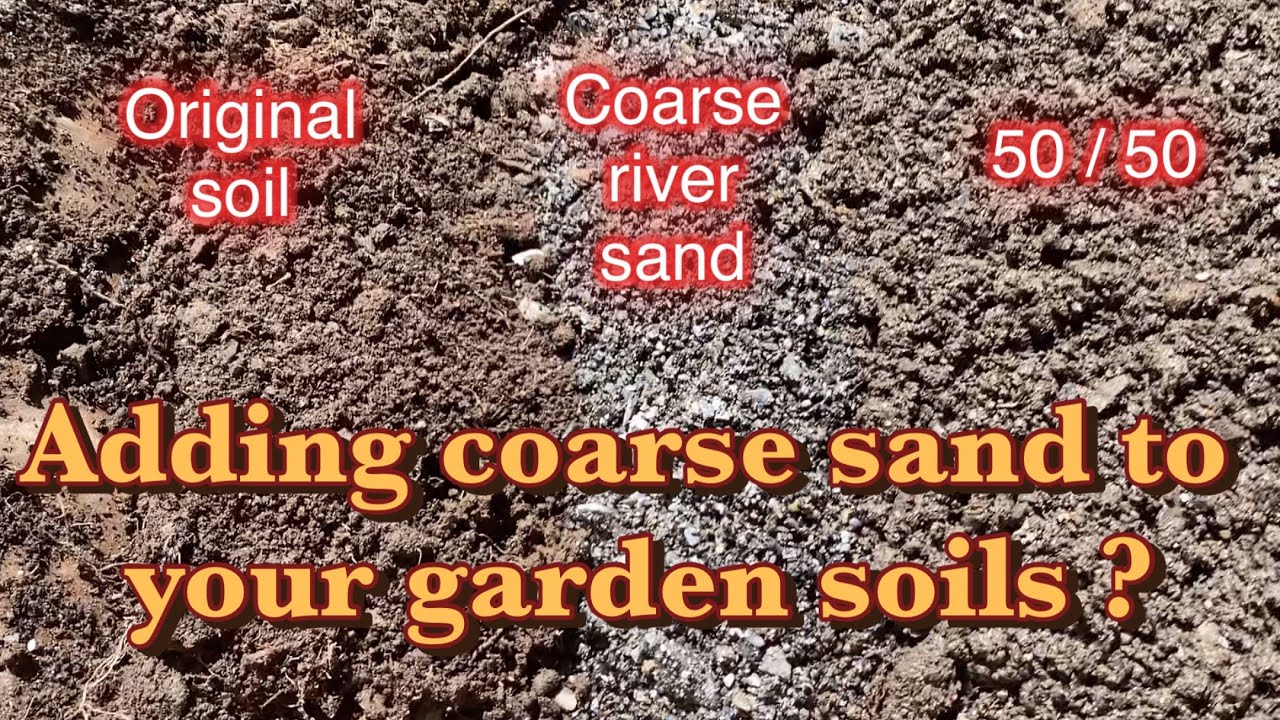 So many gardeners are scared of adding coarse sand to their garden beds?
