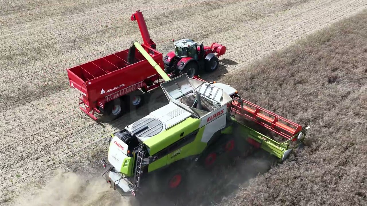 Raps Ernte in der Börde mit MF Ideal 8T + Claas Lexion 7500 TT +MF mit Annaburger ÜLW