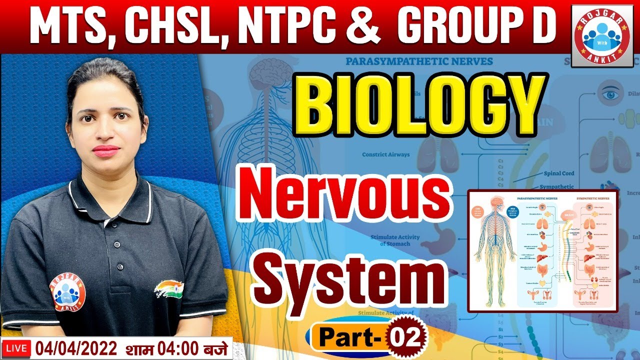 Nervous system | तंत्रिका प्रणाली | Biology For Group D/CHSL/MTS/NTPC | Science By Bhawna Mam