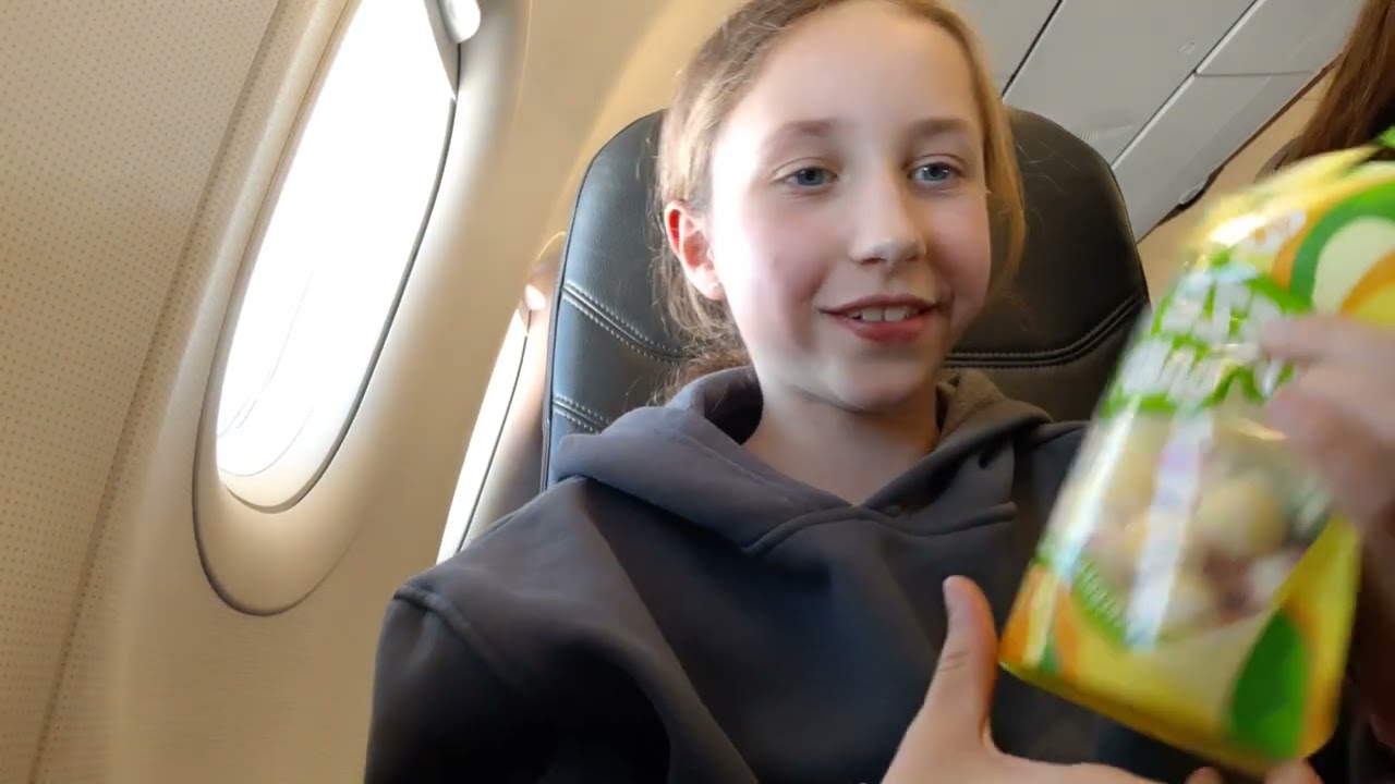 Plane flight