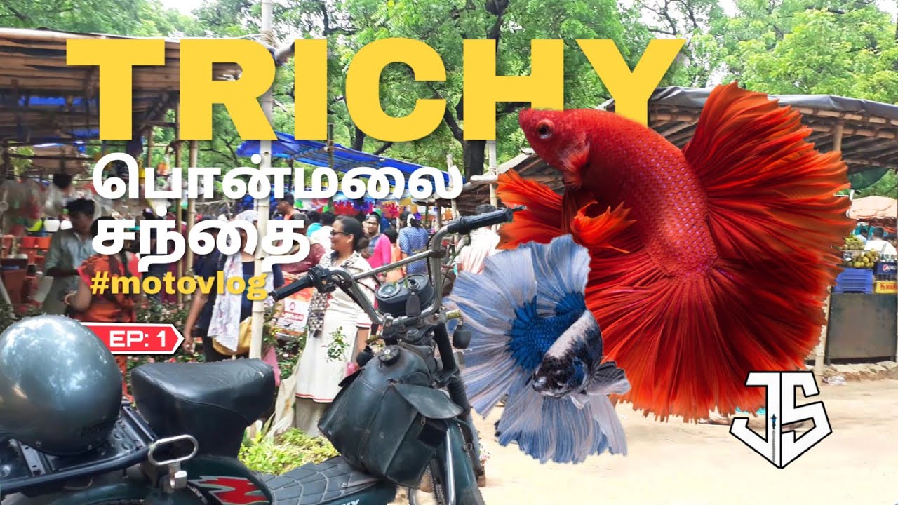 Trichy பொன்மலை சந்தை Ep:1 | largest & cheapest market குறைந்த விலையில் வாங்க விற்க Ponmalai Market