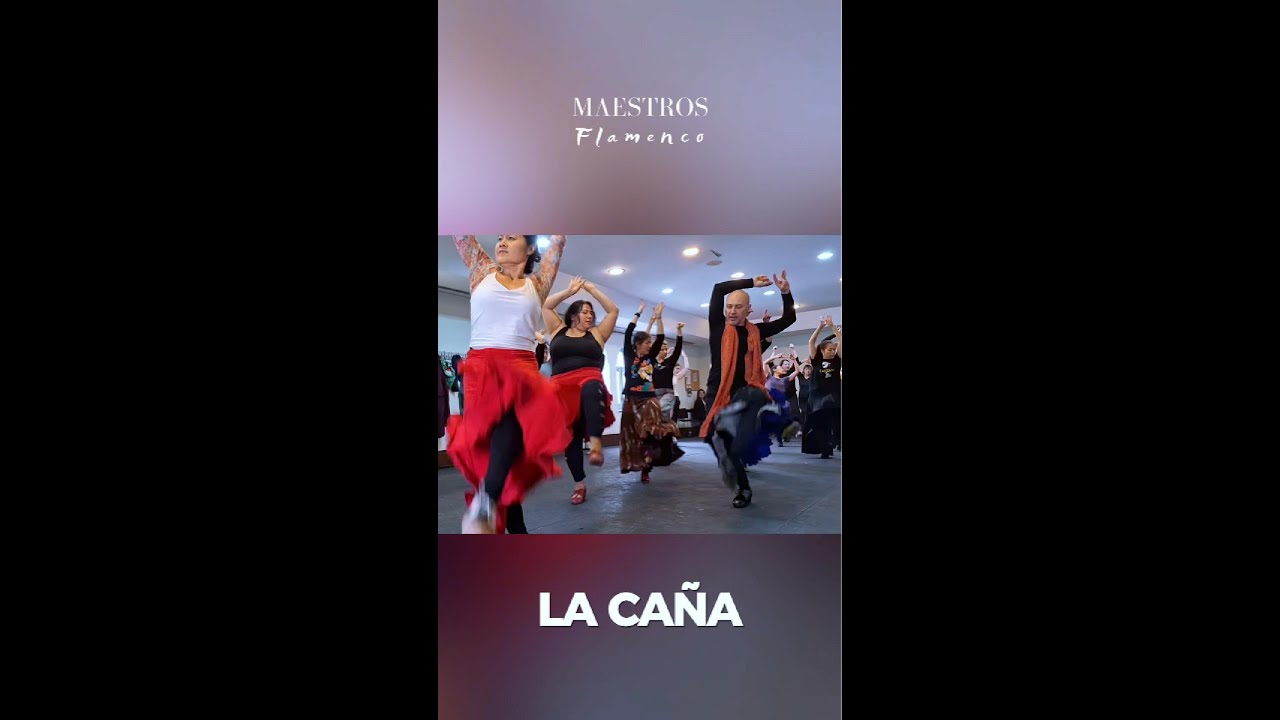 Full Caña Breakdown: Structure 🇪🇸 Desglose Completo de la Caña: Estructura