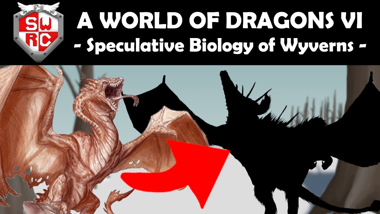 A World of Dragons VI: Speculative Biology of Wyverns!