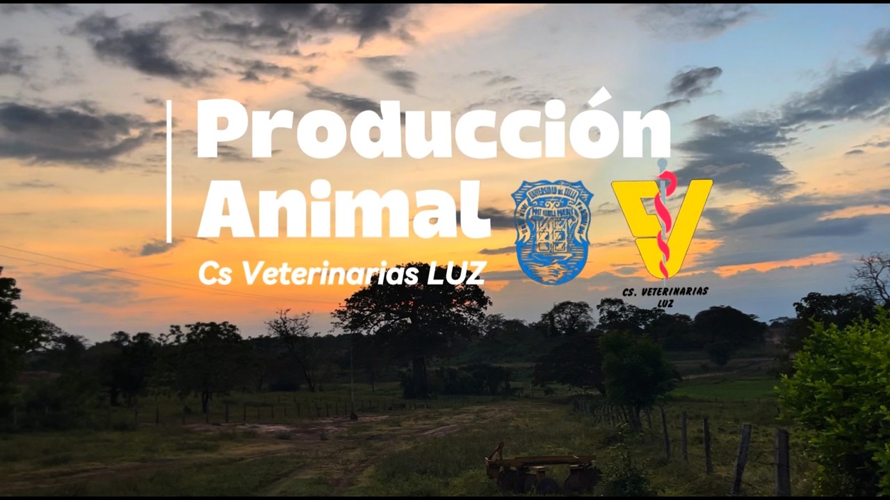 Elaboración de Queso Artesanal Perijanero