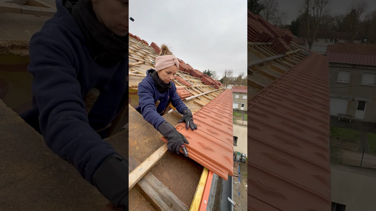 #shorts Julie sur le toit ! #youtubeshorts #renovation #construction #bricolage #maison #pourtoi