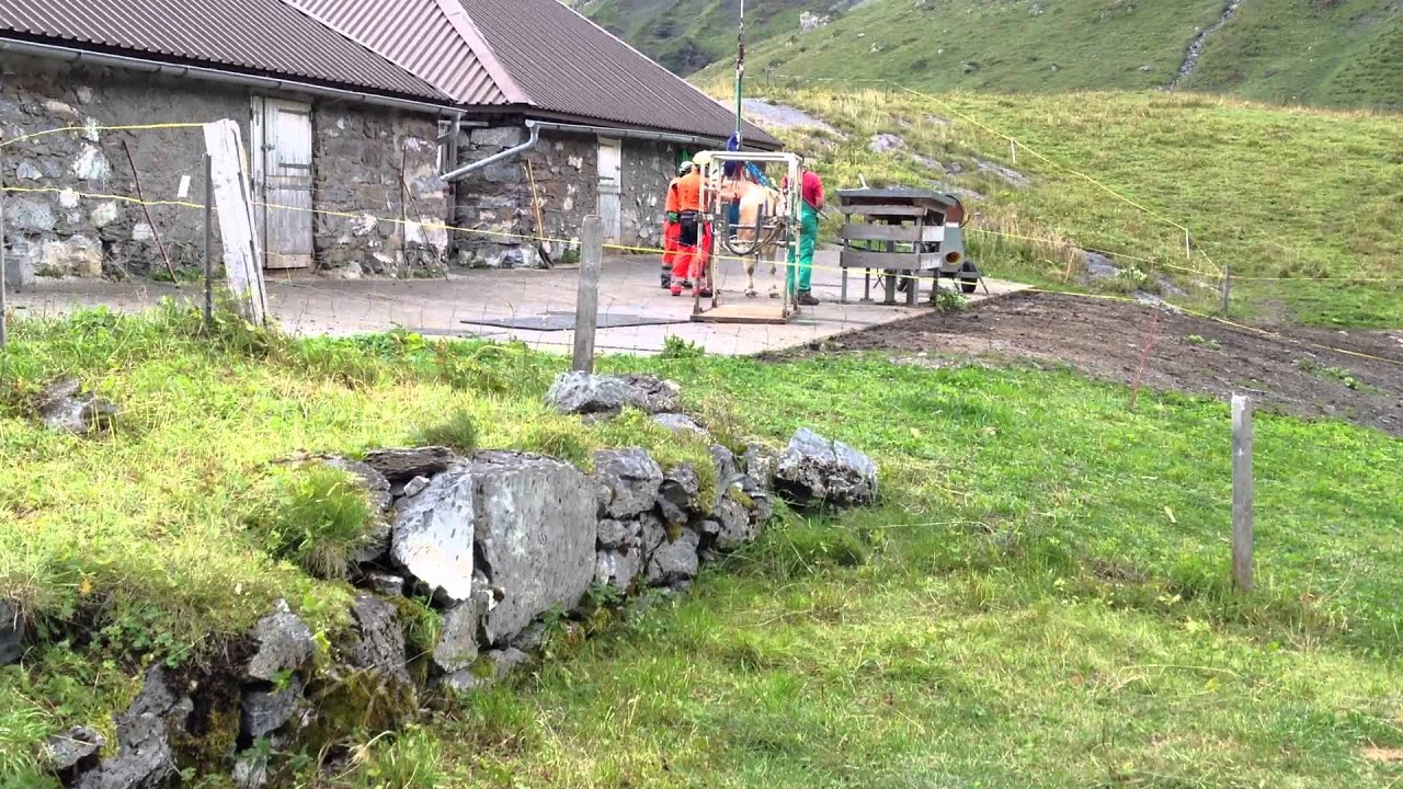 Swiss cow helicopter rescue