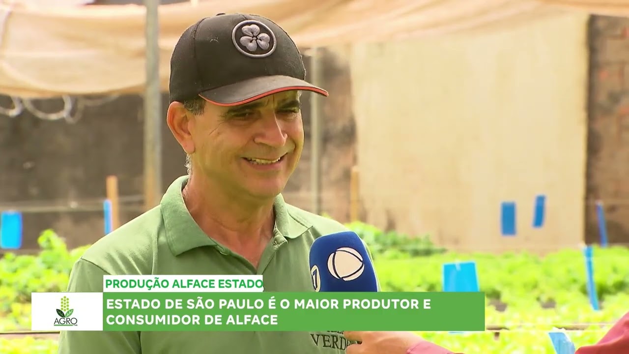 AGRO TVB Estado de São Paulo é o maior produtor e consumidor de alface.