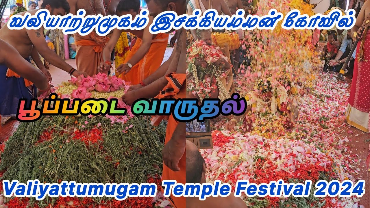 Valiyattumugam Issakki Amman Temple Festival 2024 | வலியாற்றுமுகம் இசக்கியம்மன் கோவில் பூப்படை 2024