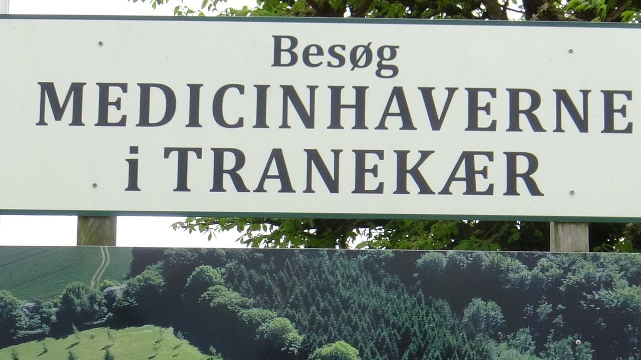 Forår i Medicinhaverne i Tranekær -  2023