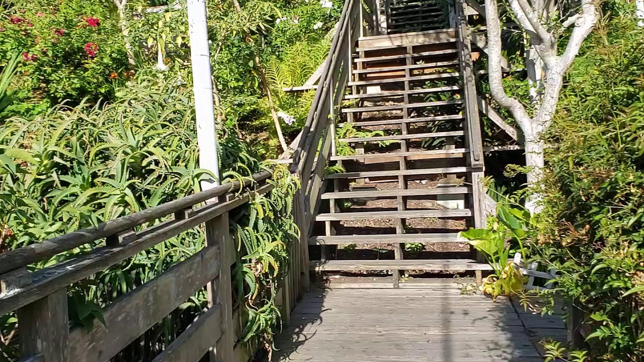 Hike Telegraph Hill to Coit Tower, Napier Lane San Francisco June2020