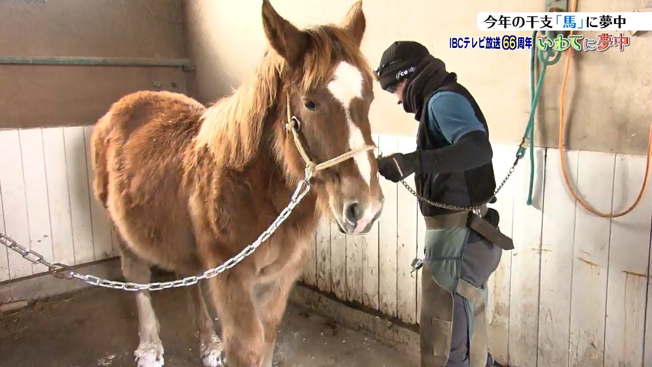 【いわてに夢中】「駿馬のごとく駆け抜ける」　馬耕や馬搬の文化を次世代へつなぐ、馬に夢中な男性たち　岩手・八幡平市