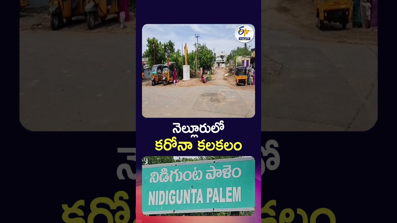 COVID-19 Case Reported in Nellore | 3-Year-Old Child Tests Positive