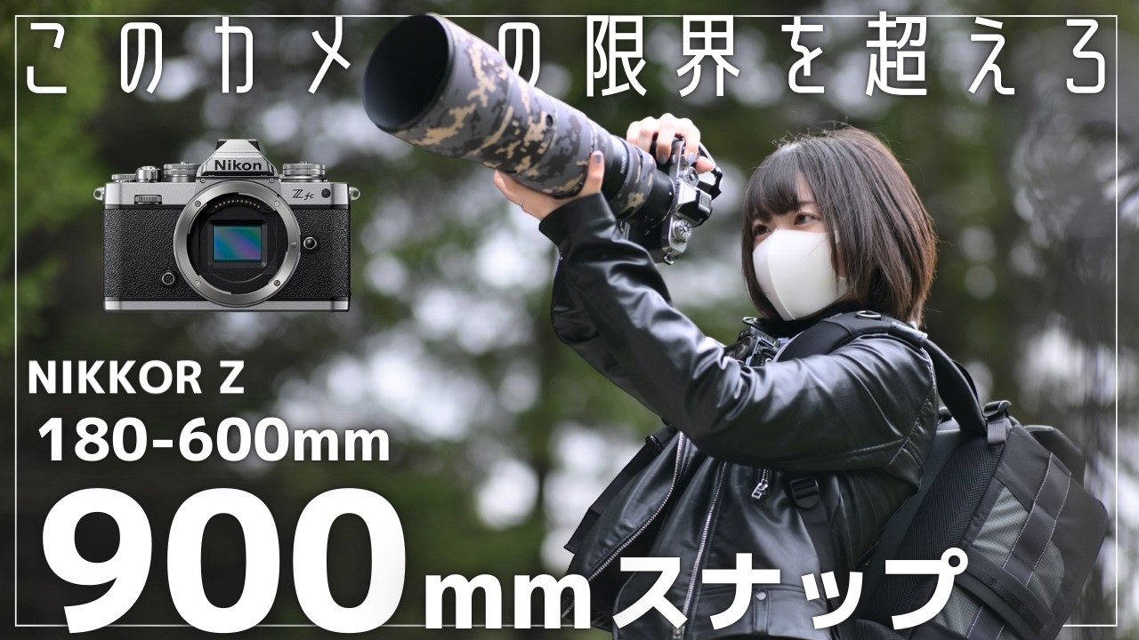 【超望遠】900mmの世界！Z180-600mmとNikon Zfc で動物をPOVスナップ。900mmの世界は凄かった！