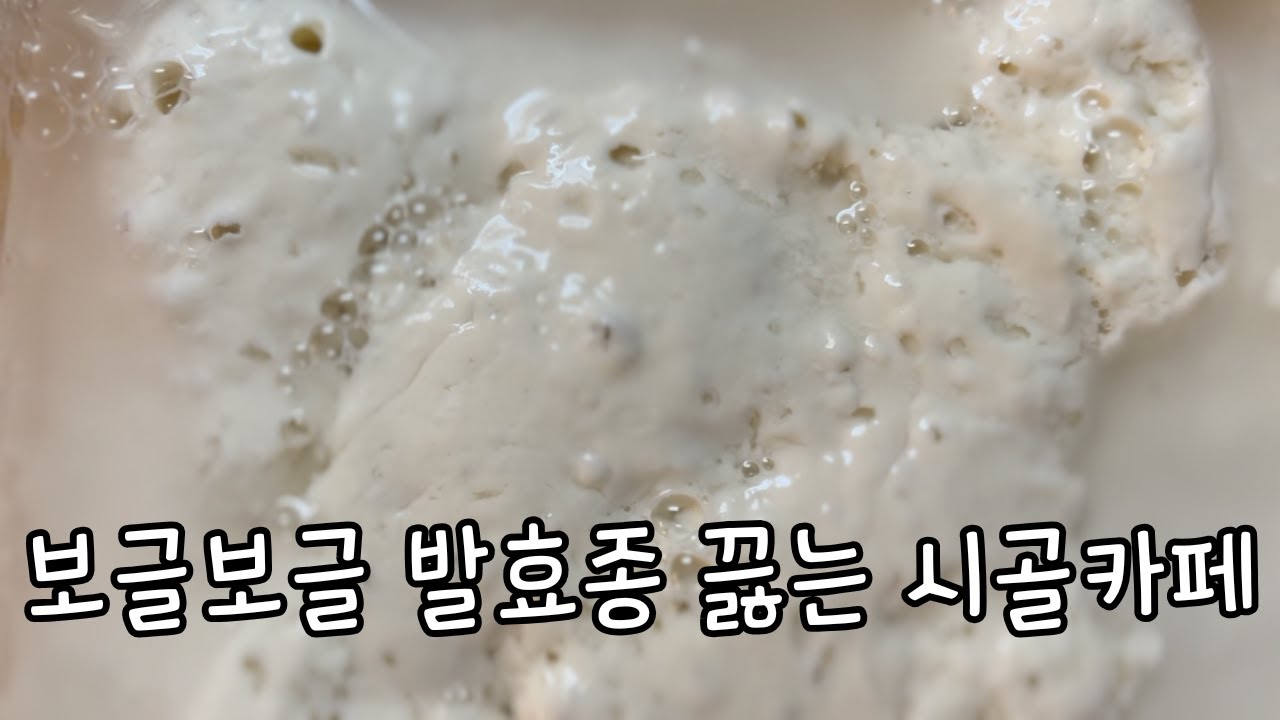 [Vlog] 우리밀로 자가효모종 키우는 시골카페 | 사워도우, 호밀, 통밀, 난로