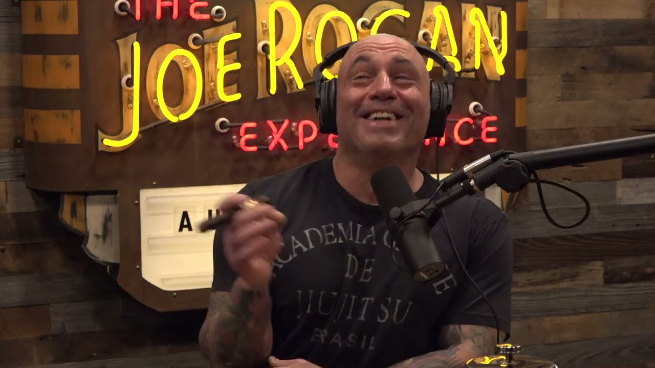 Joe Rogan Experience 