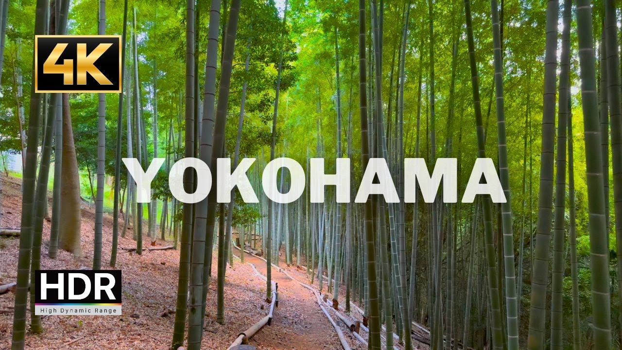 4K Japan Walk | History Museum - Archeological Park Yokohama JAPAN | 4K HDR 大塚・歳勝土遺跡公園散歩【横浜】