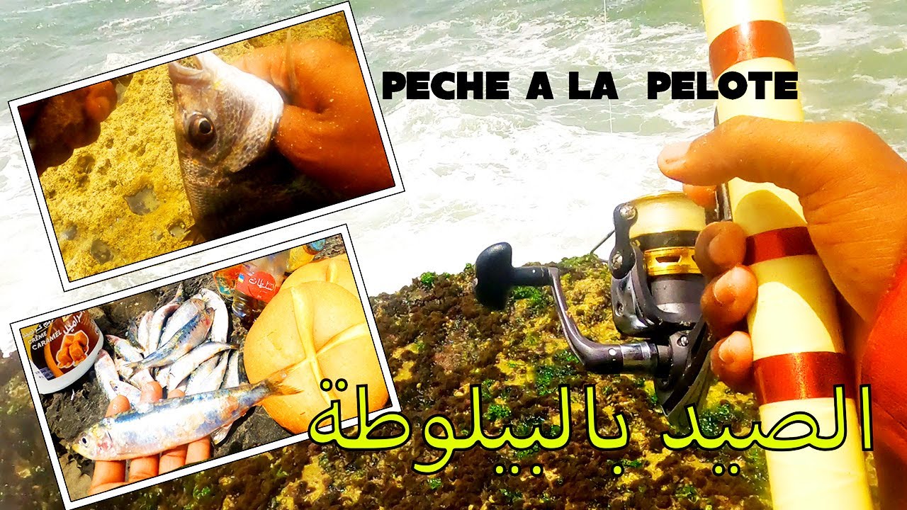 pêche à la pelote Maroc  (vlog5)2022 لافاليز مدينة  المحمدية صيد بتقنية البيلوطة معلومات ومونطاج