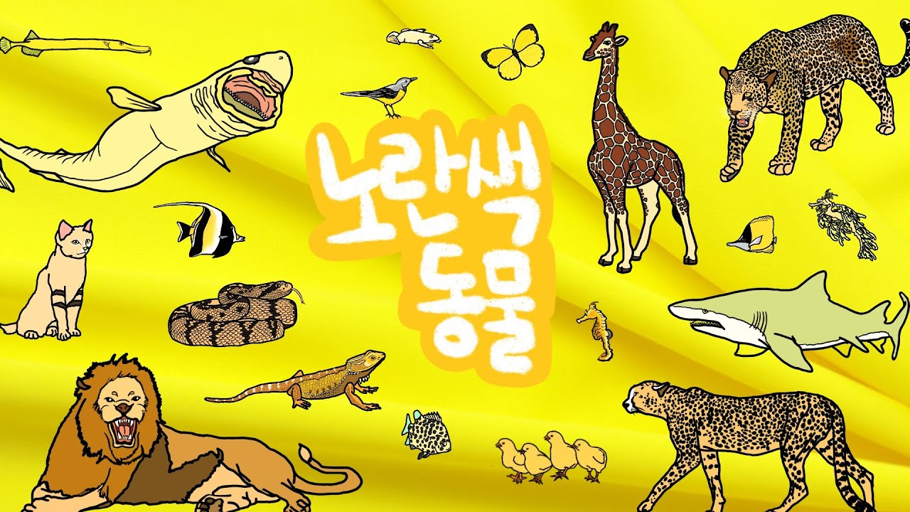 노란색 동물 | 노랑 색깔을 가지고 있는 동물은 누구일까? | 노란색 동물, 노랑 동물, 연노란색의 동물들을 만나보아요 | 노란색 색깔놀이 | 노랑 동물들 | 키즈드로우