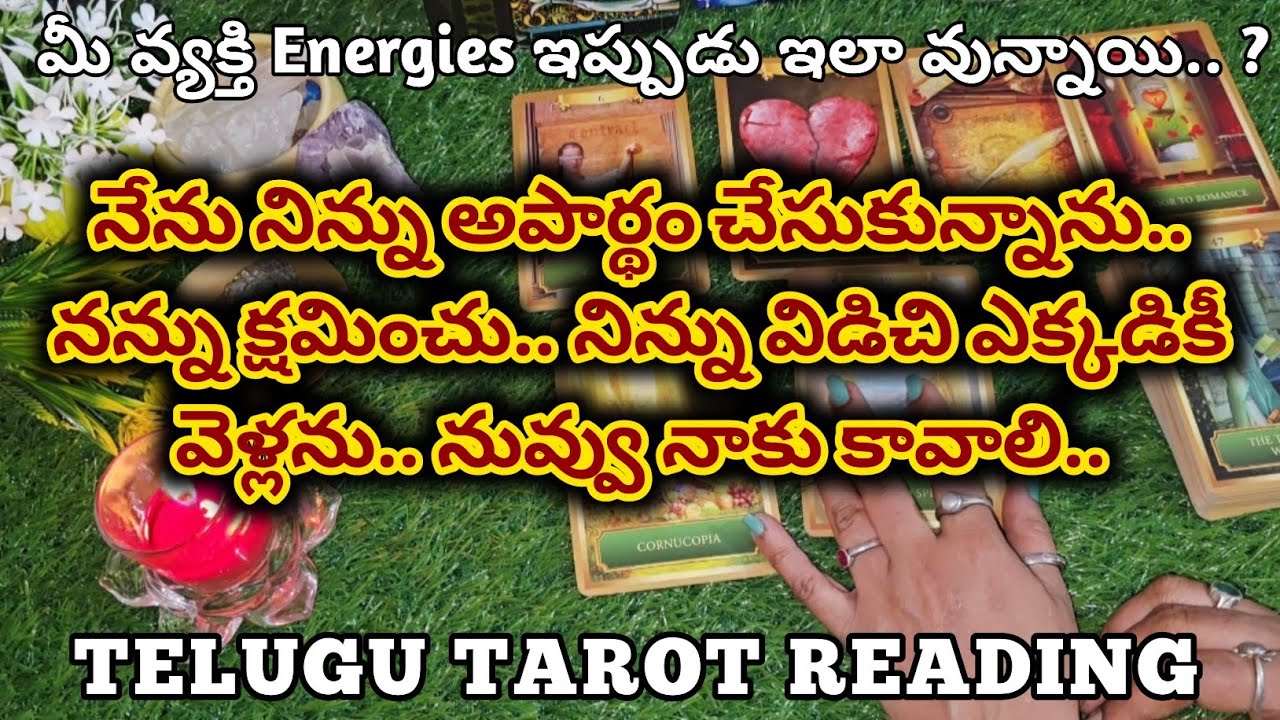నేను నిన్ను అపార్థం చేసుకున్నాను... నన్ను క్షమించు.. @sreedeviigiridhar 