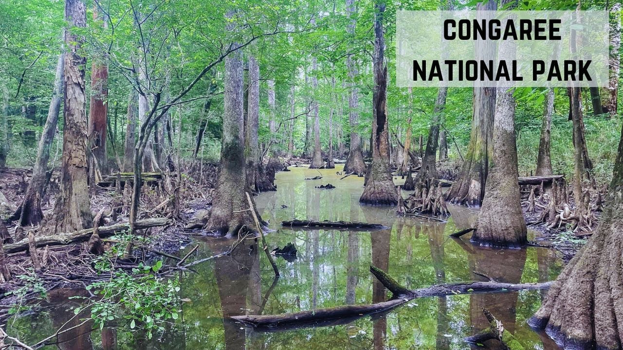 Congaree National Park, South Carolina