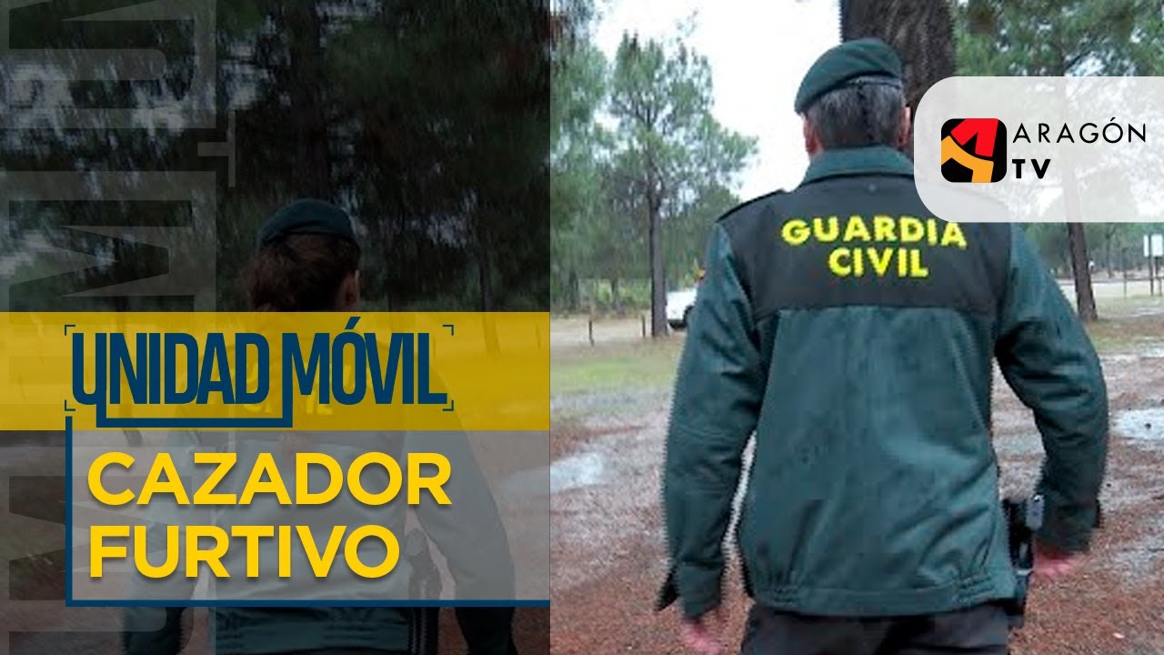 En busca del cazador furtivo | LA OTRA CARA DE LAS SETAS