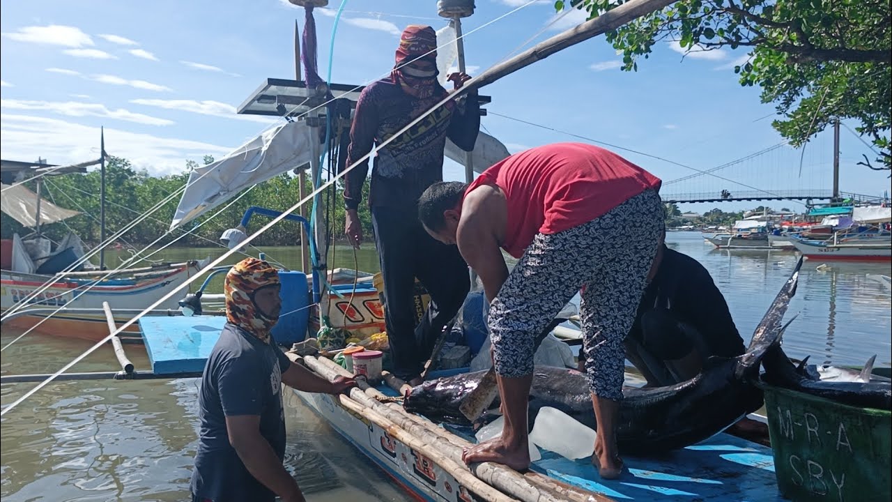 Dlawang bangka parihong may huling malaking isda #yellowpintuna #ytchannel 